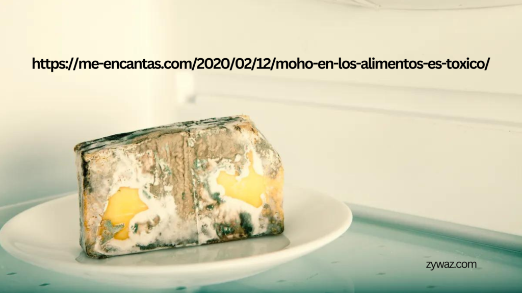 https://me-encantas.com/2020/02/12/moho-en-los-alimentos-es-toxico/